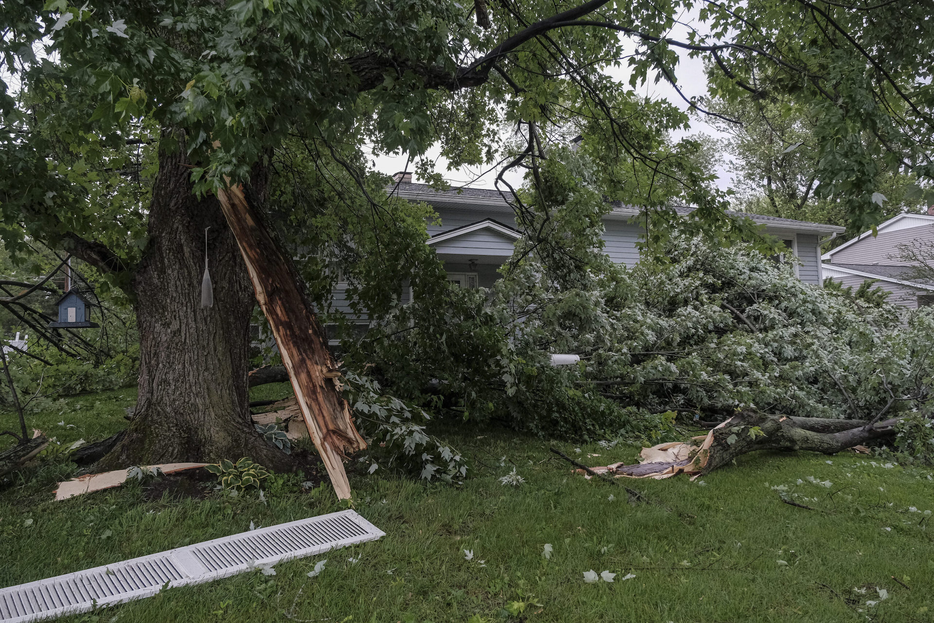 What is Storm Damage? image