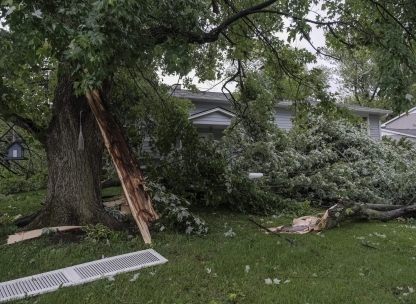 What is Storm Damage? image