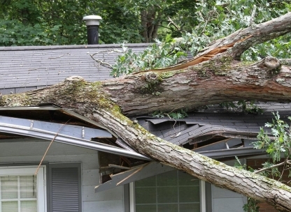 What is Wind Damage? image